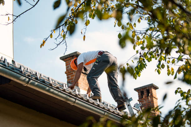 Fast & Reliable Emergency Roof Repairs in Holly, MI