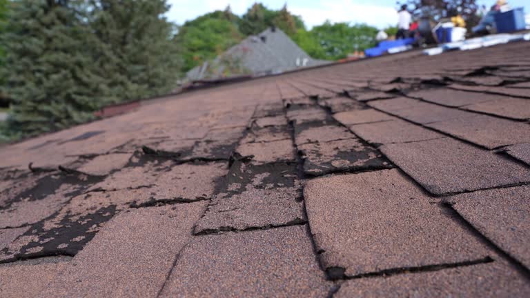 Best Flat Roofing  in Holly, MI