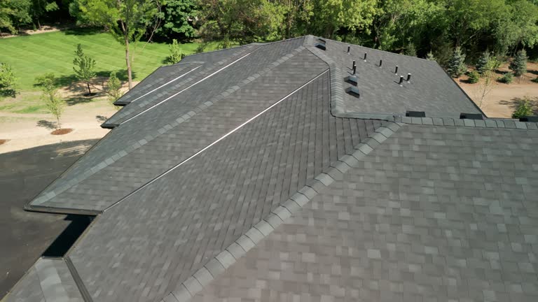 Best Roof Coating and Sealing  in Holly, MI