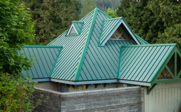 Best Metal Roofing Installation  in Holly, MI