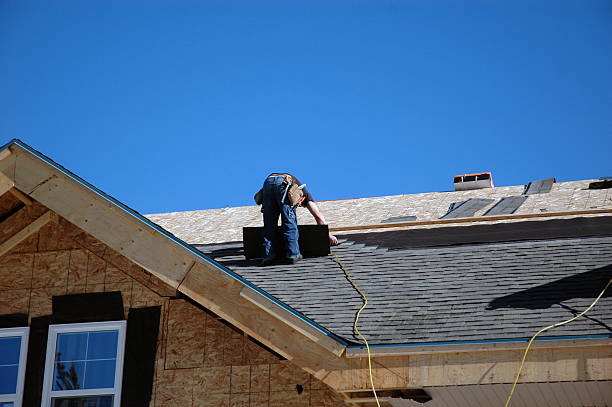 Best Roof Moss and Algae Removal  in Holly, MI