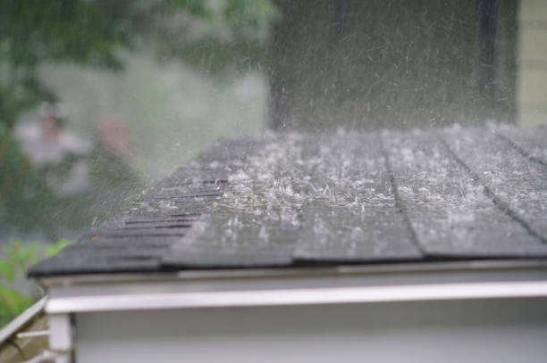 Best Sheet Metal Roofing  in Holly, MI
