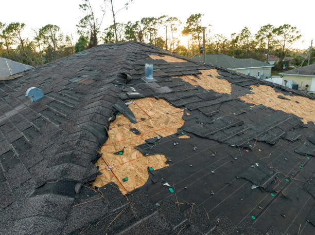 Best Roof Replacement  in Holly, MI