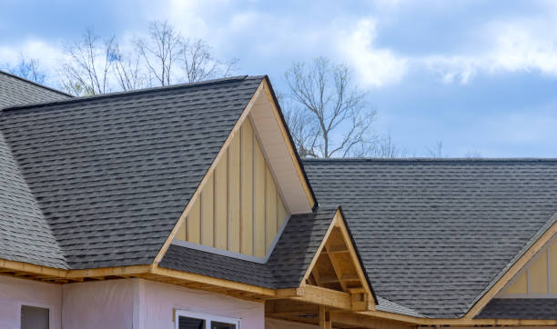 Best Roof Insulation Installation  in Holly, MI