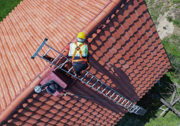Best Roof Ventilation Installation  in Holly, MI