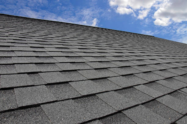 Best Roof Installation  in Holly, MI