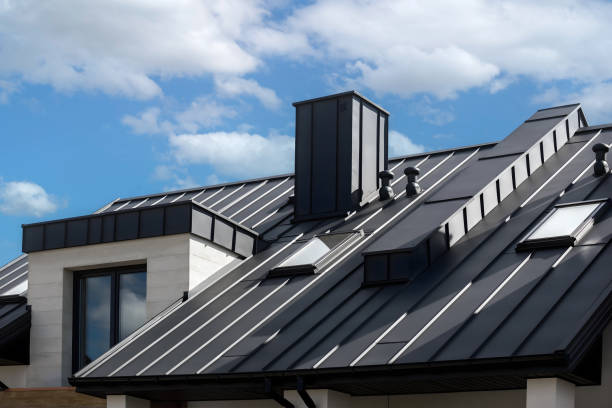 Best Sheet Metal Roofing  in Holly, MI